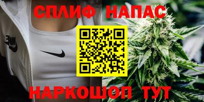 гидра Партизанск