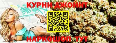 гидра Партизанск