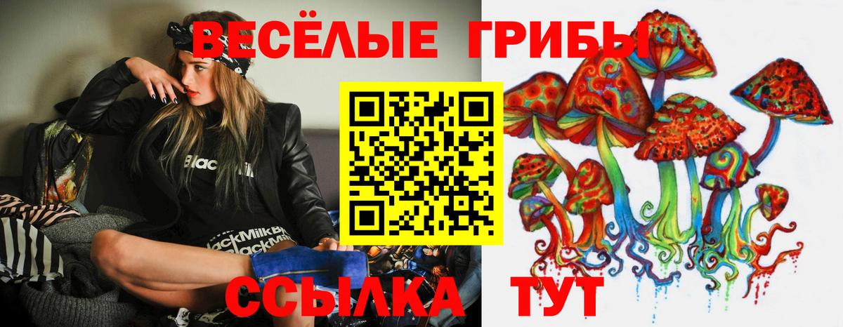 Новозыбков  Псилоцибиновые грибы мухоморы  Вход с VPN 